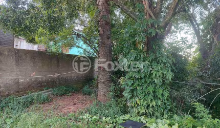 Terreno à venda na Rua Farroupilha, 165, Esmeralda, Viamão, 577 m2 por R$ 130.000