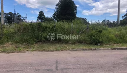 Terreno à venda na Rua Soely Nunes Rosa, 45, Restinga, Porto Alegre, 204 m2 por R$ 90.000