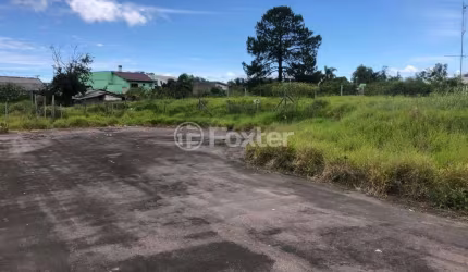 Terreno à venda na Rua Sezefredo Nunes, 125, Restinga, Porto Alegre, 877 m2 por R$ 190.000