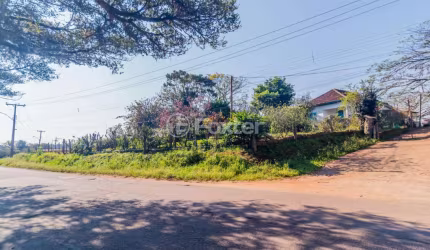 Fazenda à venda na Beco do Cocão, 6000, Cocão, Viamão, 43400 m2 por R$ 2.375.000