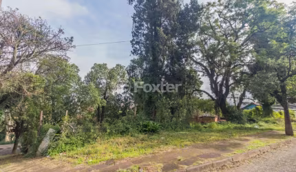 Terreno à venda na Rua Monte Alegre, 24, Jardim Floresta, Porto Alegre, 476 m2 por R$ 370.500