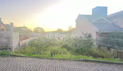 Terreno em condomínio fechado à venda na Estrada Aracaju, 530, Vila Nova, Porto Alegre, 300 m2 por R$ 230.000