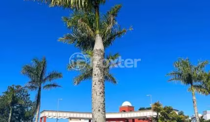 Casa com 3 quartos à venda na Rodovia Doutor Antônio Luiz Moura Gonzaga, 3801, Rio Tavares, Florianópolis, 340 m2 por R$ 6.800.000