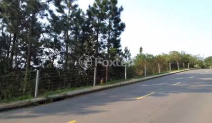 Terreno à venda na Estrada das Furnas, 788, Vila Nova, Porto Alegre, 31066 m2 por R$ 3.521.000