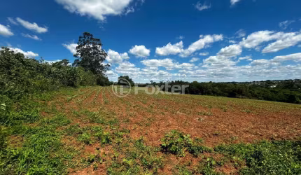 Terreno comercial à venda na Rua Lino Estácio dos Santos, S/N, Cadiz, Gravataí, 382400 m2 por R$ 11.000.000
