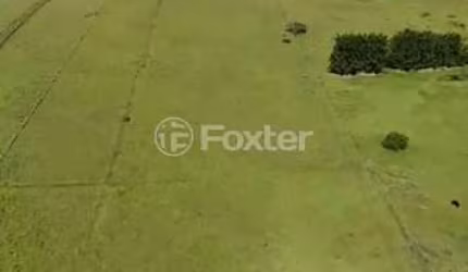 Terreno à venda na Avenida Quatro de maio, S/N, Três Figueiras, Glorinha, 150000 m2 por R$ 3.000.000