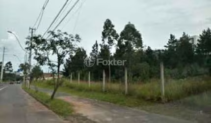 Terreno à venda na Avenida Juca Batista, 2797, Cavalhada, Porto Alegre, 1437 m2 por R$ 1.580.000