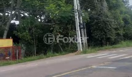 Fazenda à venda na Estrada Caminho do Meio, 2560, Cocão, Viamão, 9760 m2 por R$ 1.520.000