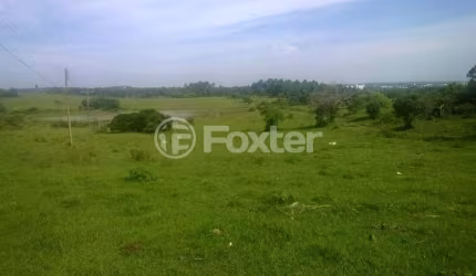 Terreno comercial à venda na Estrada Pará Morungava, 2900, Cadiz, Gravataí, 420000 m2 por R$ 15.000.000