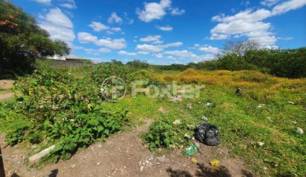 Terreno à venda na Rua dos Maias, 03, Rubem Berta, Porto Alegre, 295296 m2 por R$ 20.000.000