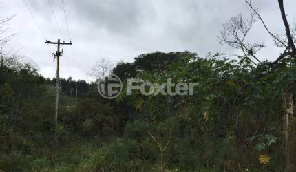 Terreno comercial à venda na Estrada do Rincão, 2820, Belém Velho, Porto Alegre, 32500 m2 por R$ 650.001
