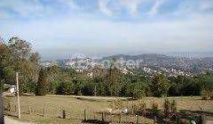 Terreno à venda na Rua Amapá, 1840, Vila Nova, Porto Alegre, 10000 m2 por R$ 900.000