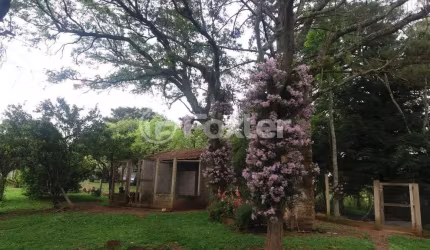 Fazenda com 5 salas à venda na Jardim Do Cedro, 195, Santa Tecla (Ipiranga), Gravataí, 93000 m2 por R$ 1.950.000