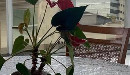 Apartamento 4 dormitórios à venda Meia Praia Itapema/SC