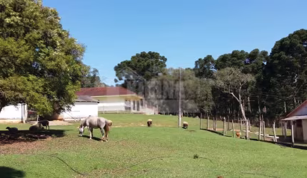 Fazenda à venda, 3600.00 m2 por R$9000000.00  -  - Castro/PR