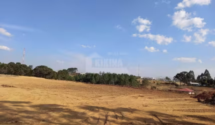 Terreno à venda, 181500.00 m2 por R$1600000.00  -  - Tibagi/PR