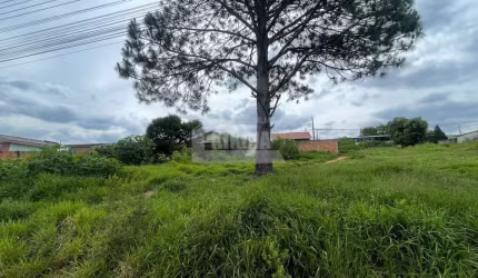 Terreno à venda, 242.00 m2 por R$65000.00  - Cara Cara - Ponta Grossa/PR