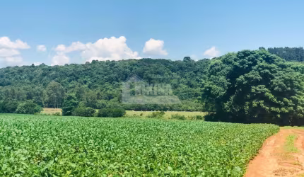 Chácara à venda, 112085.00 m2 por R$3500000.00  - Colonia Dona Luiza - Ponta Grossa/PR