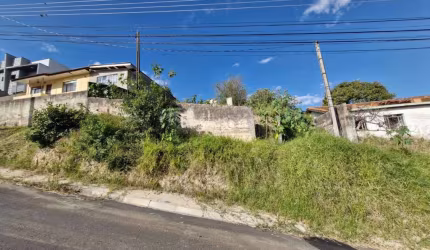 Terreno à venda, 462.00 m2 por R$150000.00  - Uvaranas - Ponta Grossa/PR