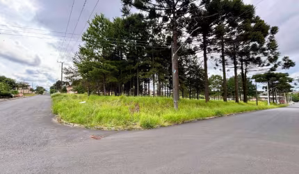Terreno à venda, 10962.00 m2 por R$8770000.00  - Jardim Carvalho - Ponta Grossa/PR