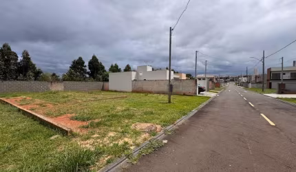 Terreno à venda, 235.00 m2 por R$160000.00  - Uvaranas - Ponta Grossa/PR