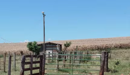 Fazenda à venda, 0.00 m2 por R$5000000.00  -  - Jandaia Do Sul/PR