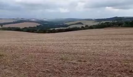 Fazenda à venda, 0.00 m2 por R$2800000.00  - Alto Do Amparo - Tibagi/PR