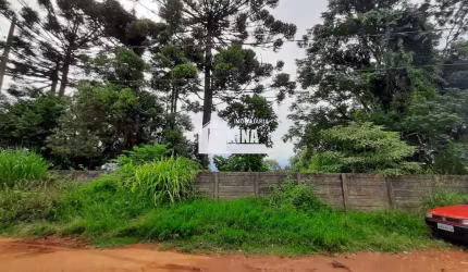 Terreno à venda, 1156.00 m2 por R$600000.00  - Uvaranas - Ponta Grossa/PR