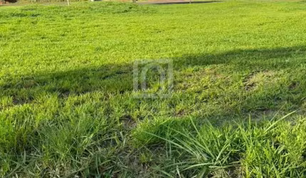 Terreno à venda no Condomínio Ninho Verde 2 Eco Residence