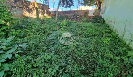 Terreno Residencial à venda, Vila Sônia (Sousas), Campinas