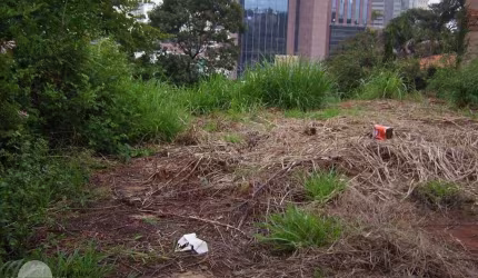 Terreno Comercial de Esquina à Venda no bairro Nova Campinas em Campinas