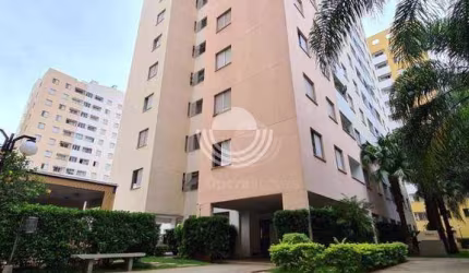 Apartamento com 2 dormitórios à venda, 58 m² por R$ 260.000,00 - Jardim Dom Vieira - Campinas/SP
