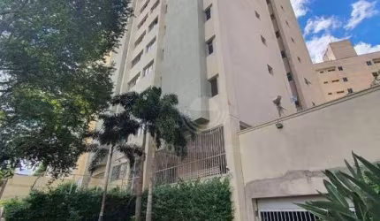 Apartamento Venda Jardim Proença Campinas