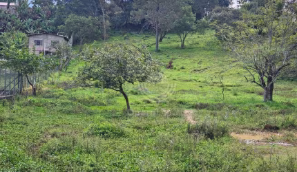Terreno à venda com 3600 m² - Chácaras Santa Margarida - Campinas/SP