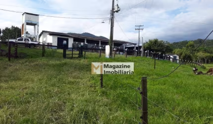 Fazenda com 4 dormitórios à venda, 385000 m² por R$ 1.150.000,00 - Zona Rural - Pau Brasil/BA