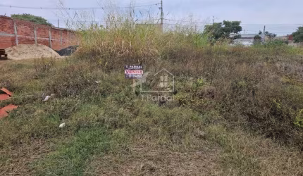 Terreno Comercial em Avenida - Ribeirão Preto/SP