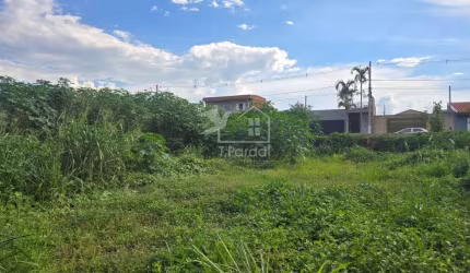 Lote Comercial - Bairro Pacaembu