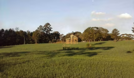 Área à venda, 5500 m² por R$ 424.000 - Guarituba - Piraquara/PR