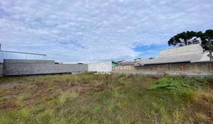 Terreno à venda, 330 m² por R$ 350.000,00 - Emiliano Perneta - Pinhais/PR