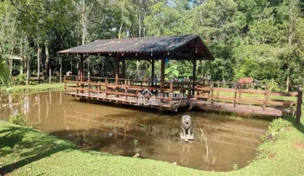 Chácara com 3 dormitórios à venda, 4232 m² por R$ 1.800.000,00 - Planta Laranjeiras - Piraquara/PR