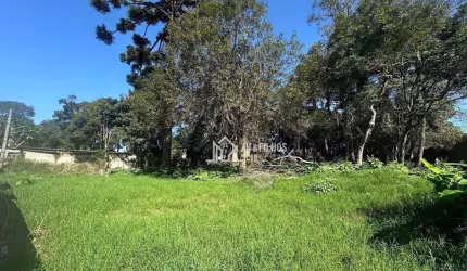 Terreno Residencial à venda, Vila Juliana, Piraquara - TE0069.