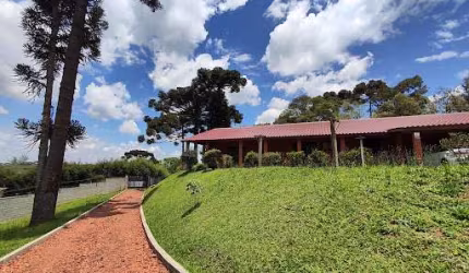 Chácara com 4 dormitórios à venda, 4020 m² por R$ 1.500.000,00 - Planta Meireles - Piraquara/PR