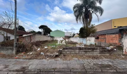 reno em São José dos Pinhais- - Afonso Pena