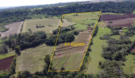 Área Rural de 8,9 Alqueires, Terra Mista (Plantio e Pastagem) - Com Sanga de água