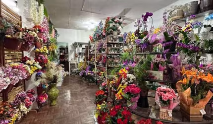 Ponto Comercial - Loja de Floricultura