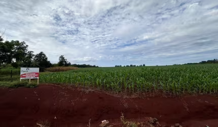 Chacará em Margarida