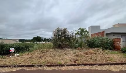 Terreno com 456m2 no Bairro Vila Gaúcha