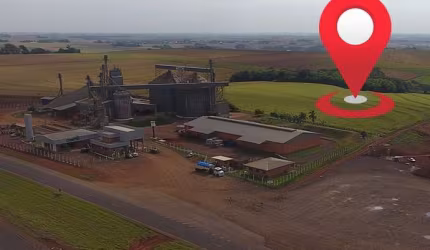 2,5 alqueires de grama para fenação, sendo 5 mil sacas de soja por alqueire