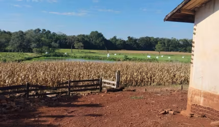 Propriedade na Linha Campo Sales
