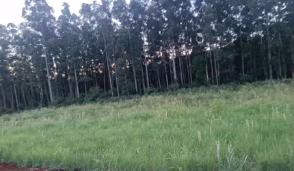Àrea de terra na Linha Ajuricaba.